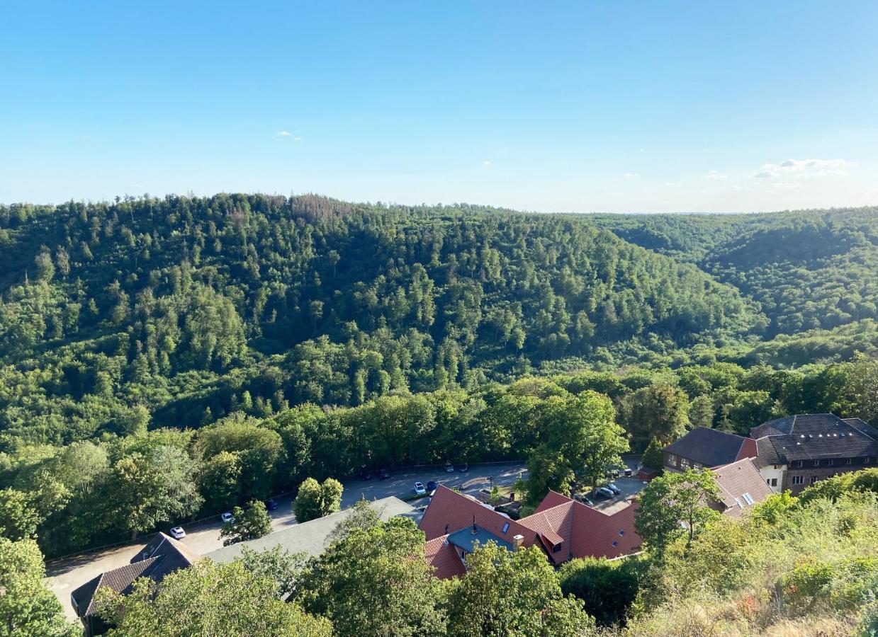 Burghof Kyffhaeuser Bad Frankenhausen Ngoại thất bức ảnh
